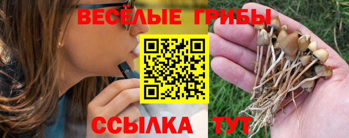 Псилоцибиновые грибы мухоморы Партизанск