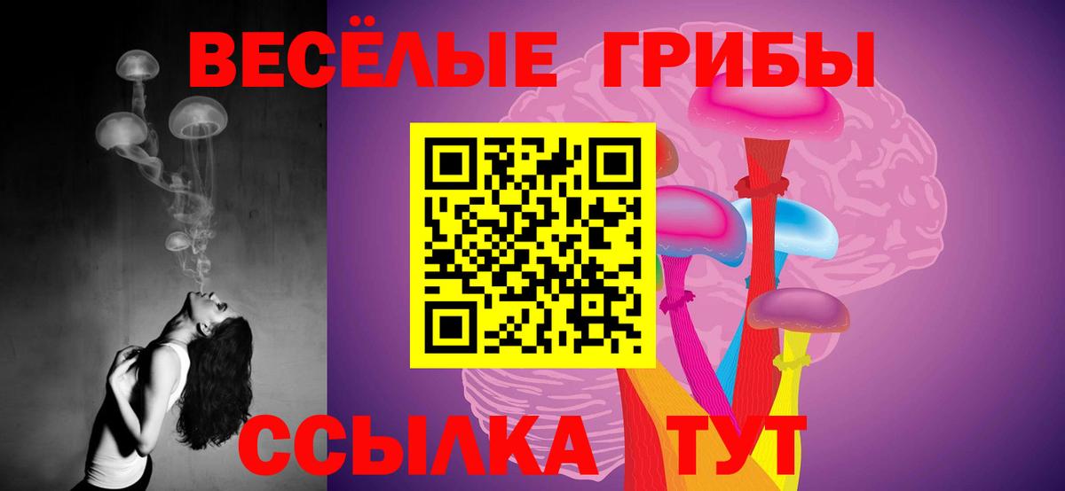 Партизанск  Псилоцибиновые грибы Cubensis  Вход с VPN 